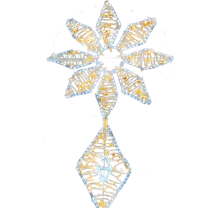 STAR 202