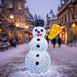 snowy poza
